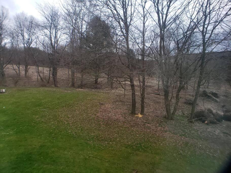 Welcome To Osborne Creek! Harpursville المظهر الخارجي الصورة
